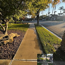 House-washing-window-washing-and-concrete-cleaning 8