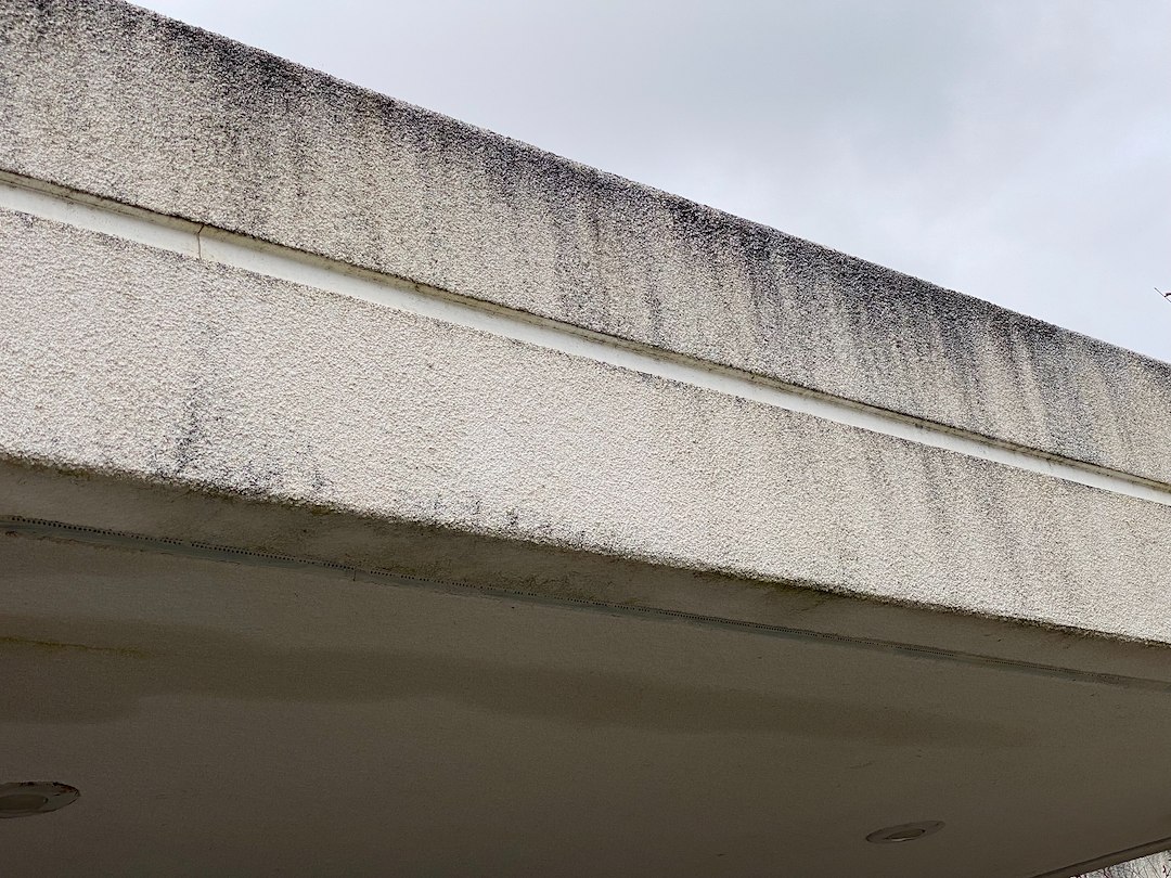 Stucco Sparkling Again: Our Mold & Algae Removal Expertise in Clovis Ca