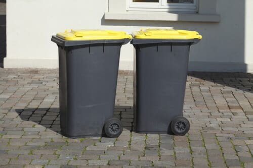 Trash Can Cleaning